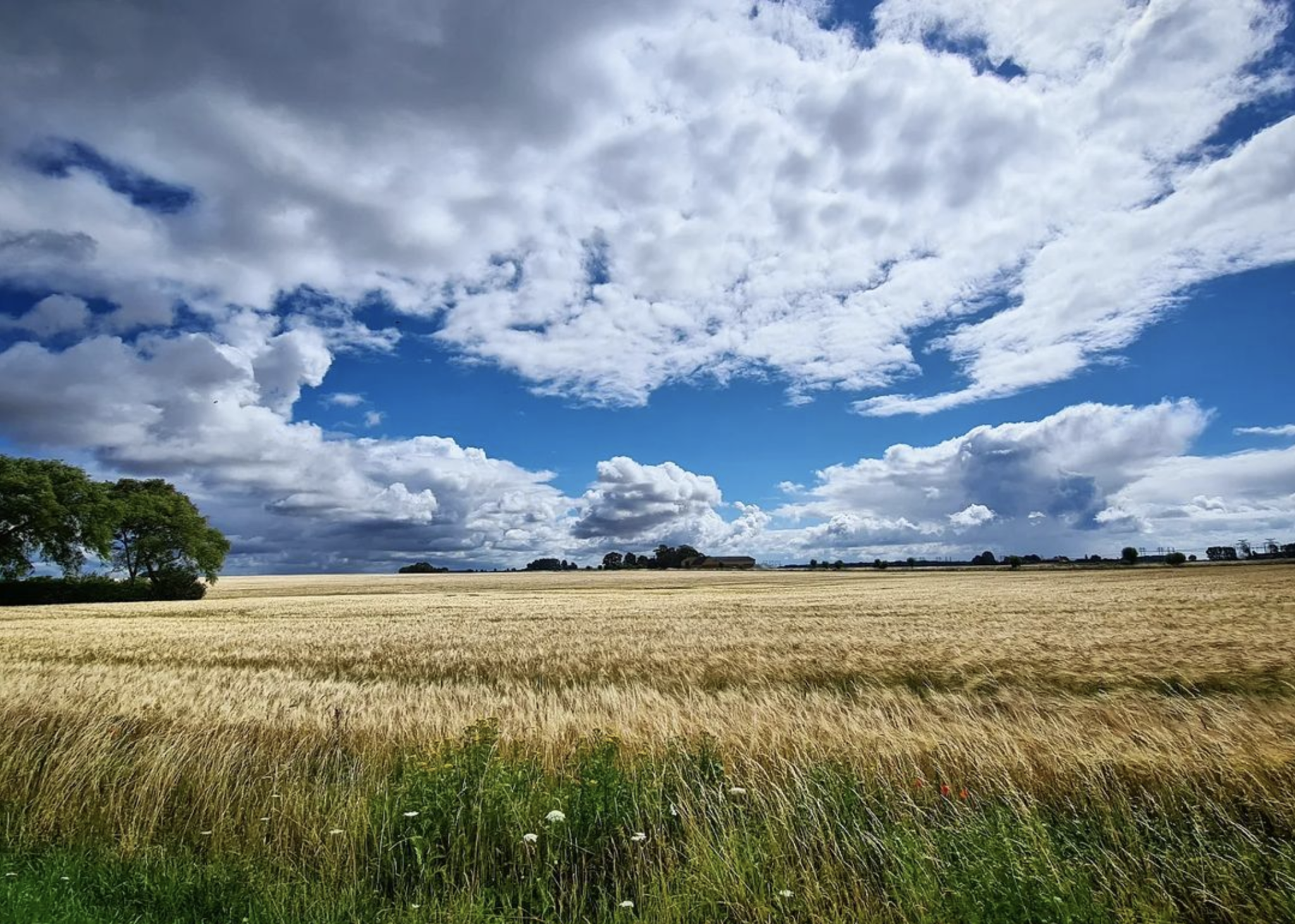 An image of a field. A sky. Clouds. Endless sky. Possibility.